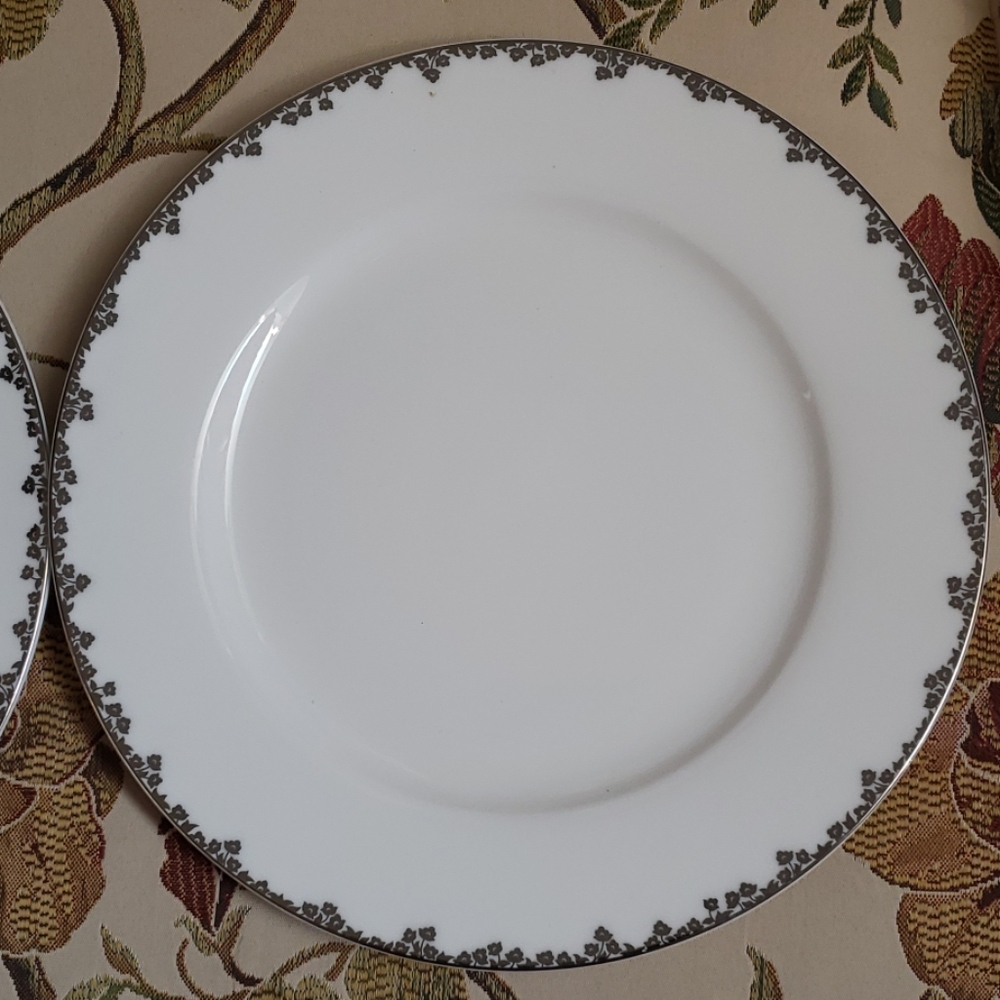 2peice ciroa fine bone  dinner plates